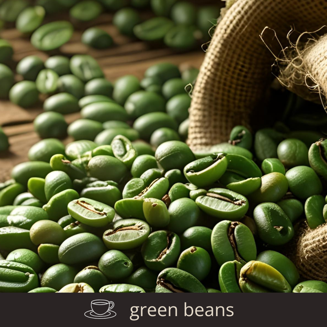 コーヒー生豆 卸売販売